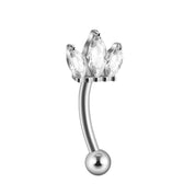 כתר רוק | טיטניום