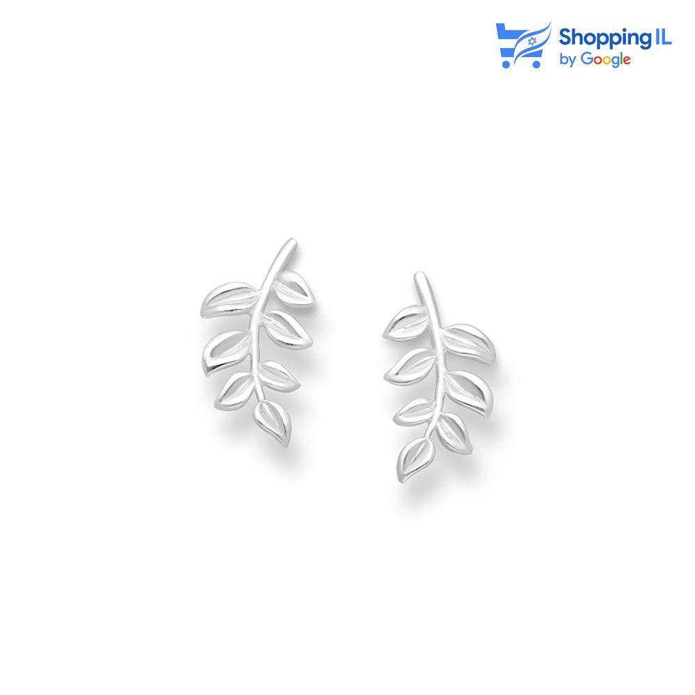 עליי זית | עגילי כסף 925